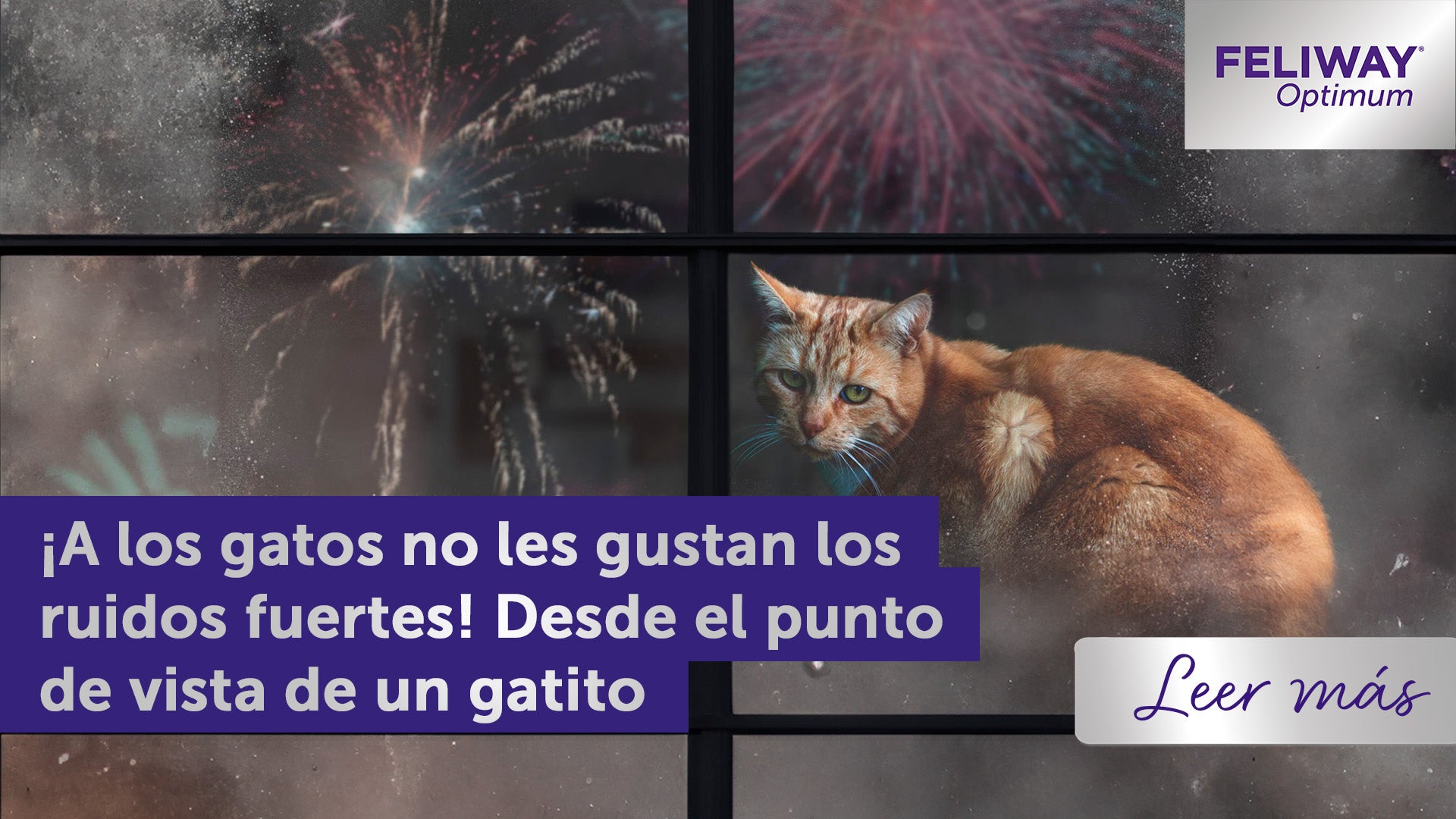 12 Junio Cabecera