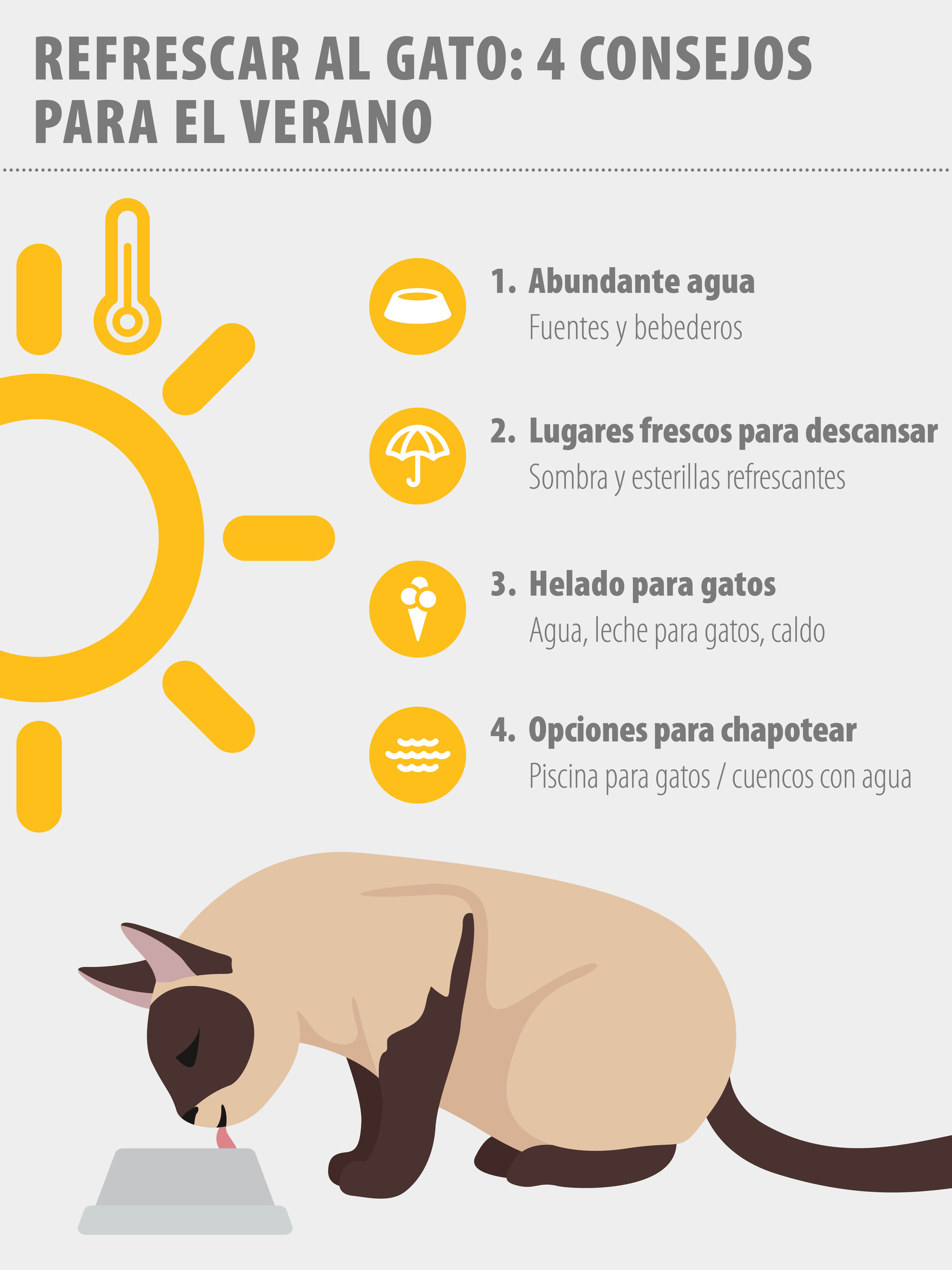 Consejos para crear un ambiente relajado para gatos 1