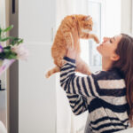 El impacto del entrenamiento positivo en el bienestar mental del gato 5 6 beneficios de tener un gato para tu salud mental