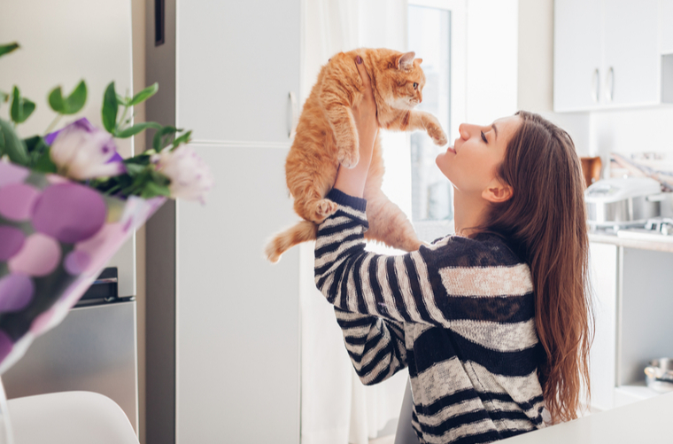 El impacto del entrenamiento positivo en el bienestar mental del gato 1 6 beneficios de tener un gato para tu salud mental