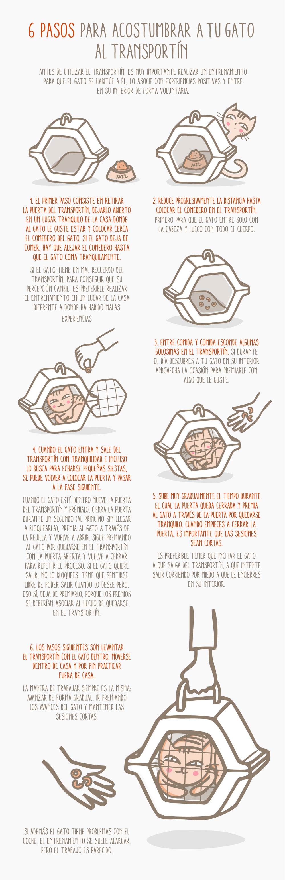 6 pasos para acostumbrar a tu gato al transportin