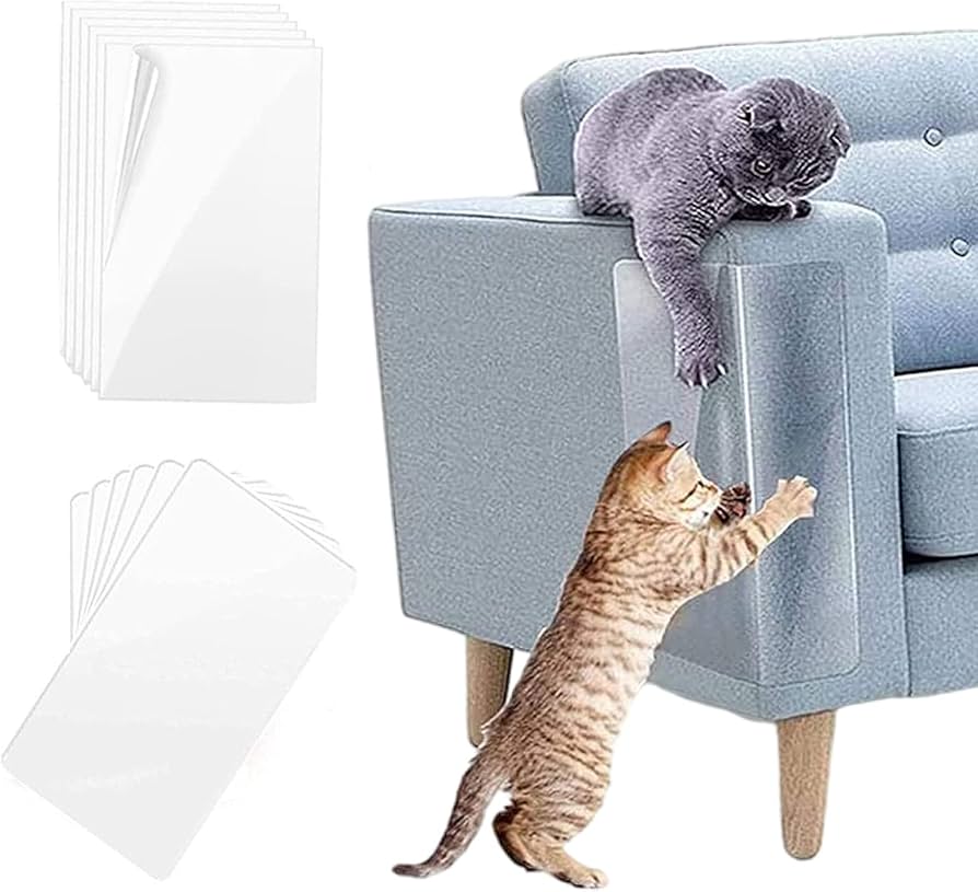 Cómo evitar que tu gato rasque la alfombra usando refuerzo positivo 2 7188hguU6GL. AC UF8941000 QL80