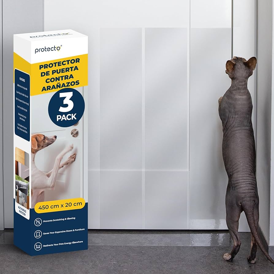 Cómo enseñar a tu gato a no arañar puertas o ventanas