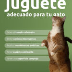 ART Juegos con tu gato 3 IFG 4