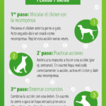 Adiestramiento para gatos con clicker 1