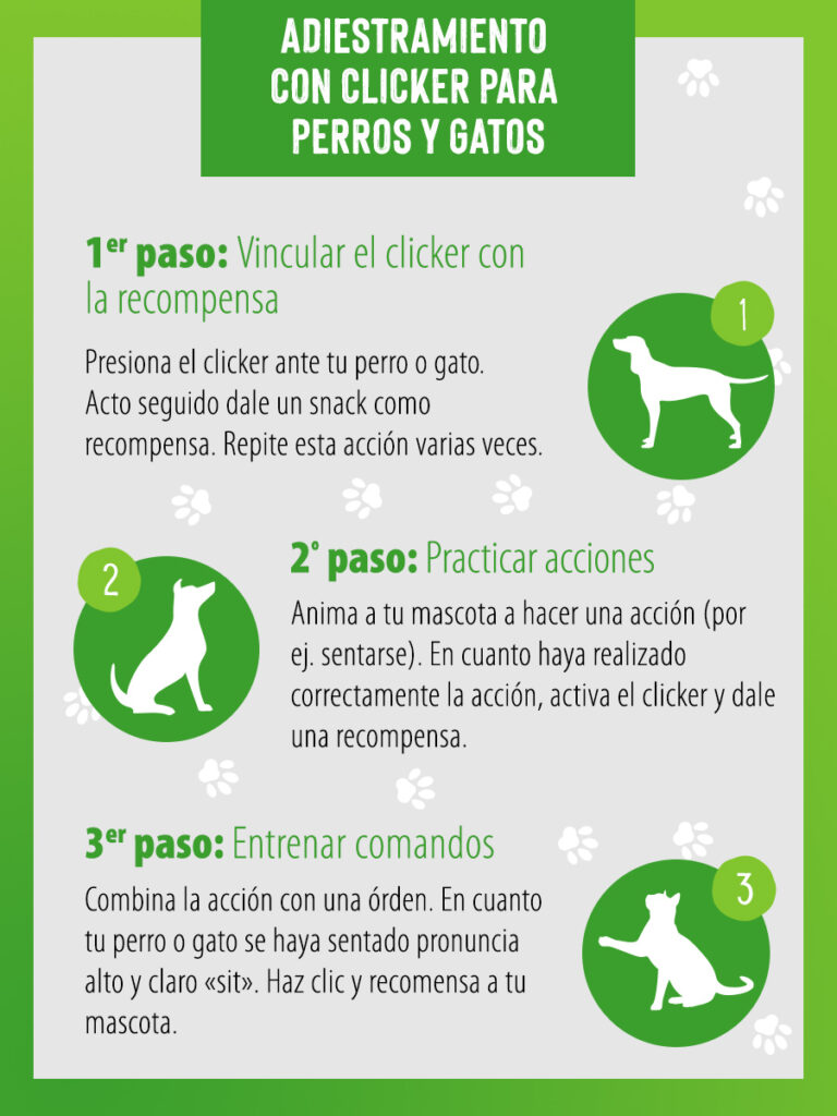 Adiestramiento para gatos con clicker 1
