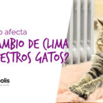 CAMBIODECLIMA