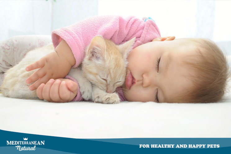 Como ayudar a nuestro gato en adaptacion ante la llegada de un bebe 3
