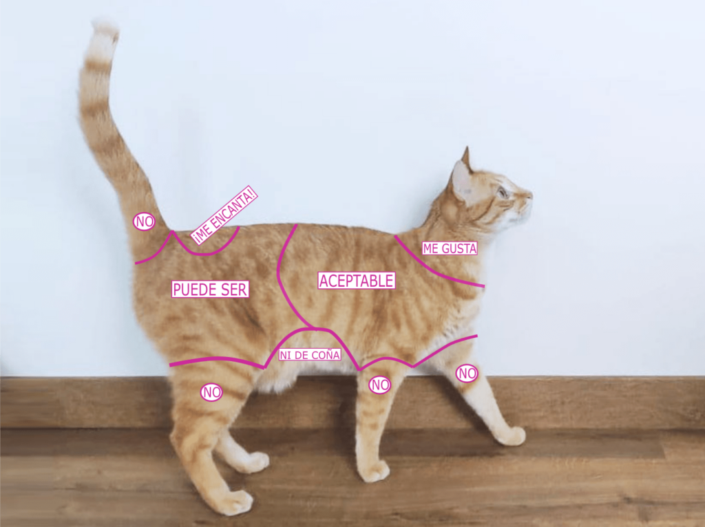 GATO