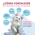 Infografia Art 1