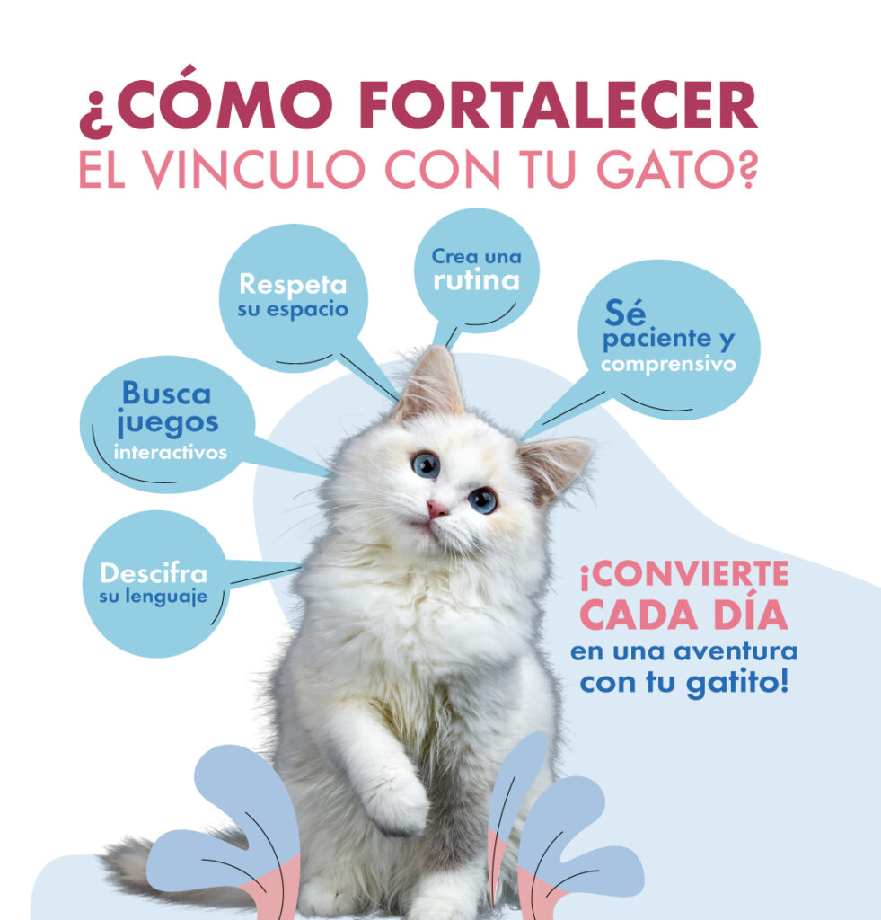 Infografia Art 1