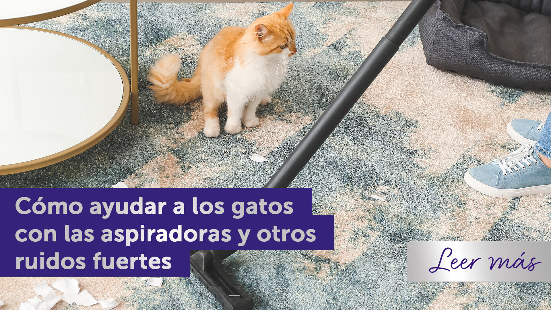 Septiembre Cabecera Blog 02