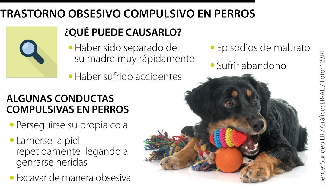 Web Agro TranstornosPerros 620 1