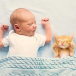 Cómo preparar a tu gato para la llegada de un bebé 5 bebes y gatos 4 scaled 1