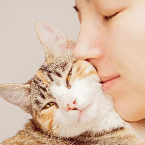 como ensenar a un gato a no aranar y morder las manos 3142 600 square