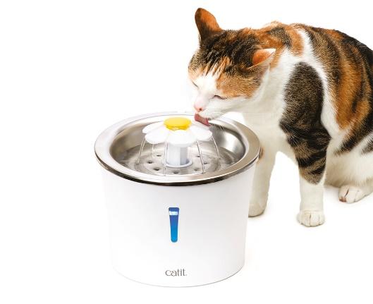 como hacer que mi gato beba agua 23988 600