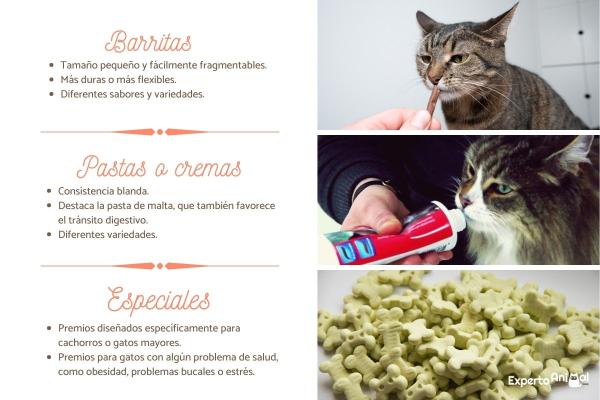 cuales son los mejores premios para gatos 25173 paso 2 600