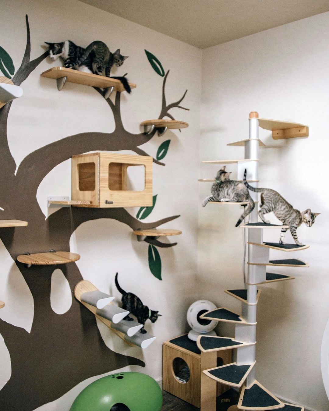 Consejos para crear un ambiente relajado para gatos 2 elle parque para gatos casero 6 1582652055