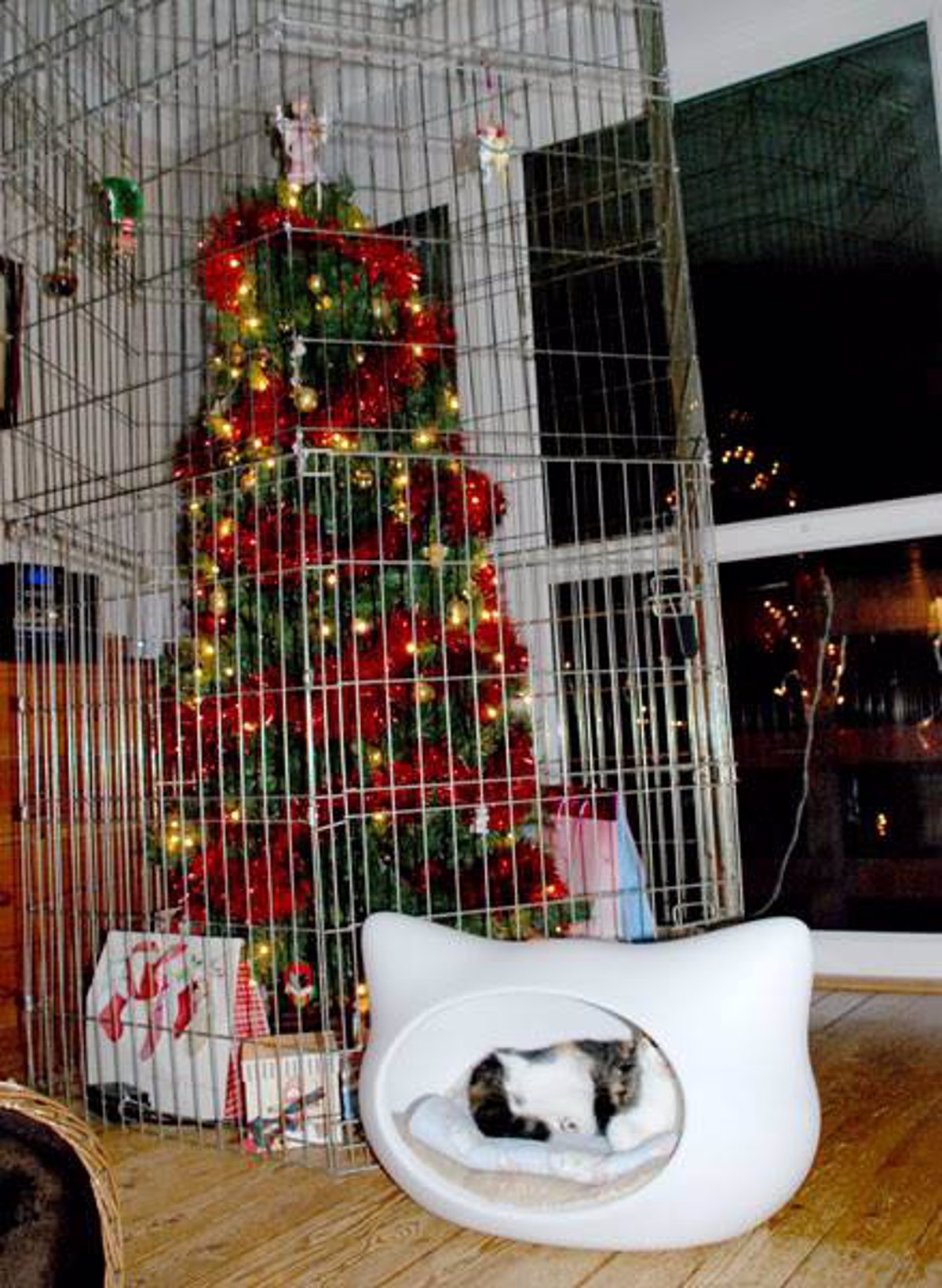 fotonoticia 20141219121127 694529 1200