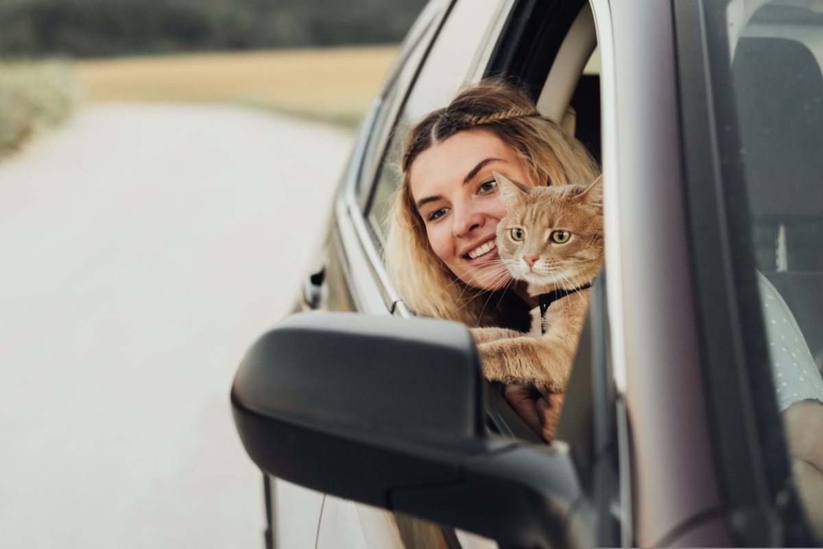 gato viaje coche mareo