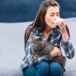 gato alergia principal