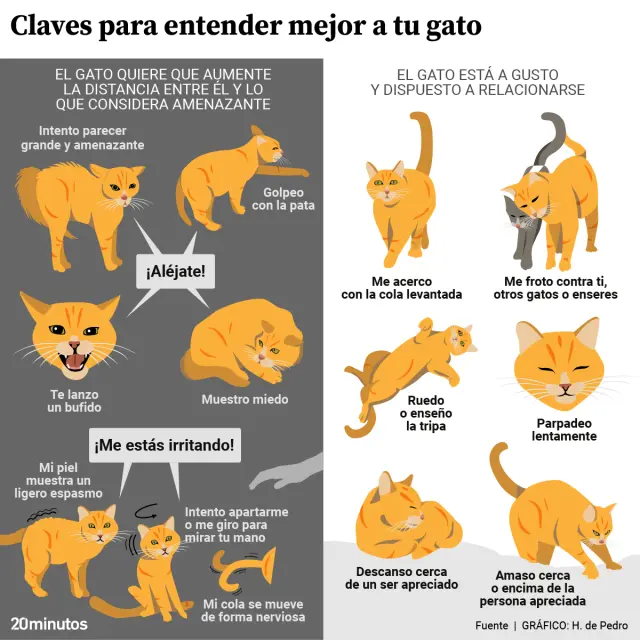 grafico entender a tu gato 2