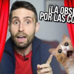 Cómo enseñar a tu gato a no tirar de las cortinas 6 maxresdefault 12