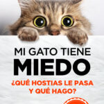 mi gato tiene miedo libro