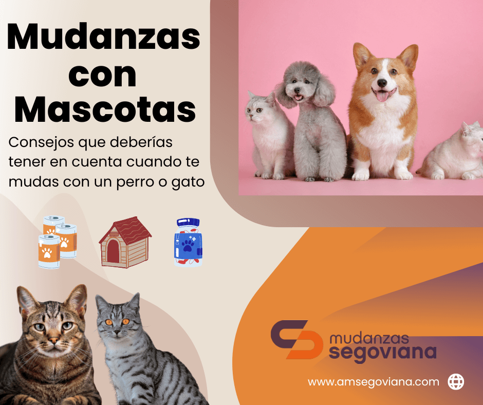 mudanzas con mascotas como afecta la mudanza perro gato c