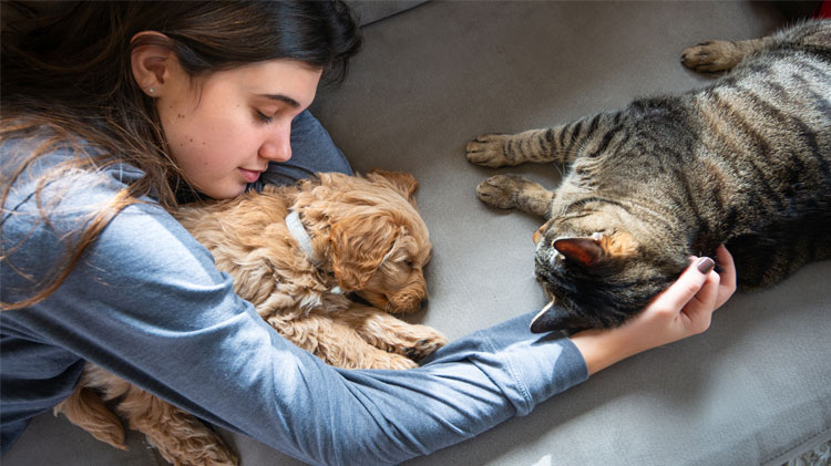 Consejos para que tu gato se calme durante tormentas o fuegos artificiales 2 pet storm