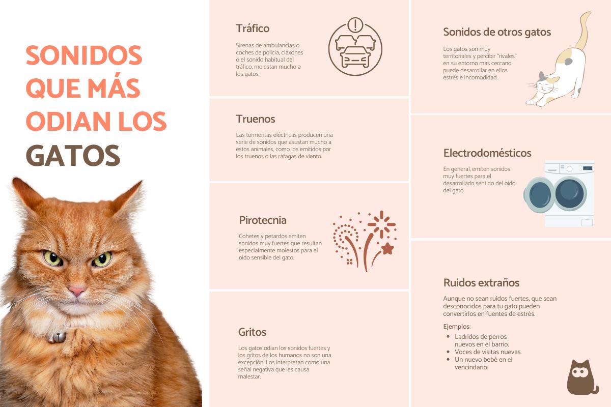sonidos que molestan a los gatos 26892 orig