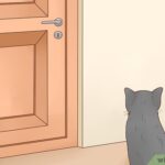 v4 460px Keep Cats out of Rooms Step 1 Version 2