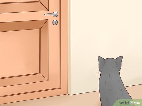 v4 460px Keep Cats out of Rooms Step 1 Version 2