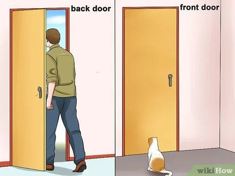 Cómo evitar que tu gato se obsesione con abrir puertas 1 v4 460px Keep a Cat from Running out the Door Step 1 Version 2.jpg