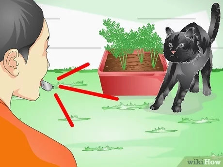 v4 460px Keep a Cat out of Potted Plants Step 8.jpg