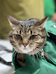 Negocio Aah Veterinary Services