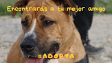 Negocio Aiba - Cpa De Valdemoro
