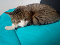 Negocio Anaa Protectora De Animales