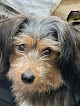 Cdad. Lineal 6 Negocio Anicura José Del Hierro Centro Veterinario