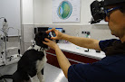 Negocio Anicura Ocaña Oftalmología Veterinaria