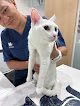 Negocio Anicura Velázquez Hospital Veterinario
