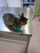 Negocio Animal Center Alcalá