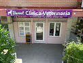 Negocio Barvet - Veterinaria Integrativa (las Rozas Y A Domicilio)