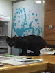 Torrejón De Ardoz 16 Negocio Budapets Veterinaria