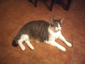 Negocio Centro Clínico Veterinario Val De Iglesias