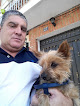 Negocio Centro Médico Quirúrgico Veterinario La Encinilla, S.l.