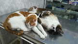 Negocio Centro Médico Veterinario Amazonas