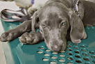 Hortaleza 11 Negocio Centro Quirúrgico Veterinario Algabeño