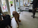 Negocio Centro Veterinario 7 Picos Cercedilla