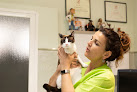 Tres Cantos 3 Negocio Centro Veterinario Api